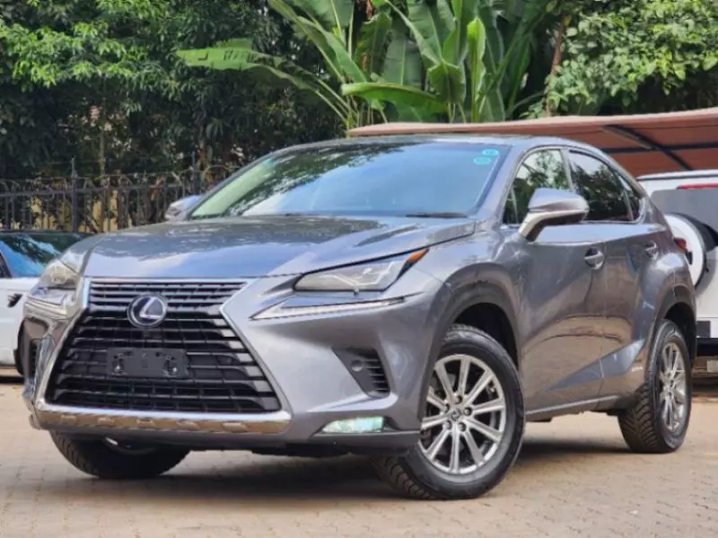 Lexus NX300h Hybrid   - 2019
