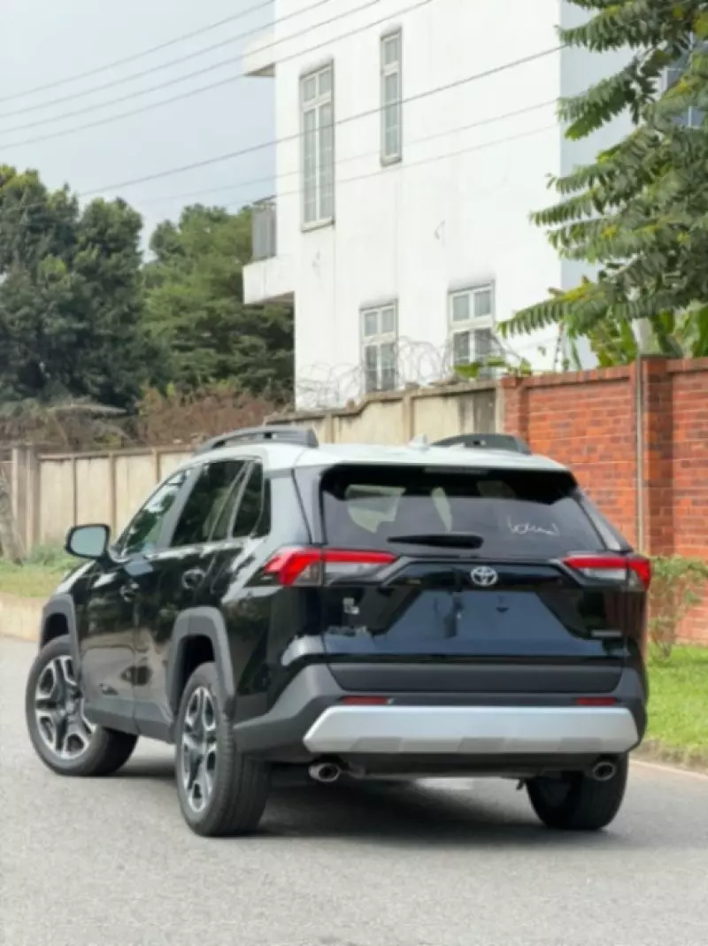 TOYOTA Rav4   - 2019