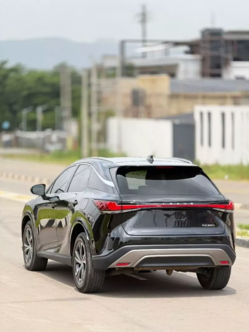 Lexus RX   - 2024