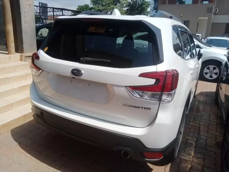 Subaru Forester   - 2019