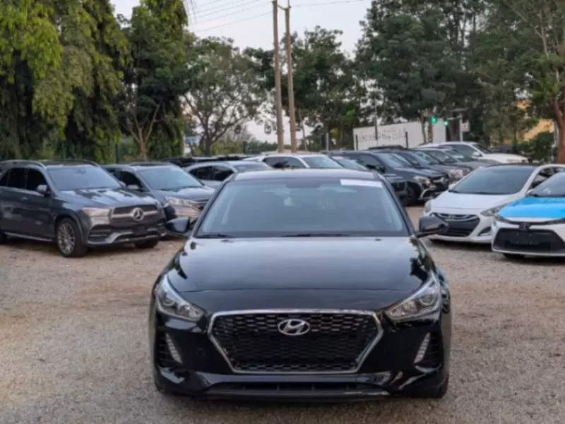 Hyundai Elantra GT   - 2019