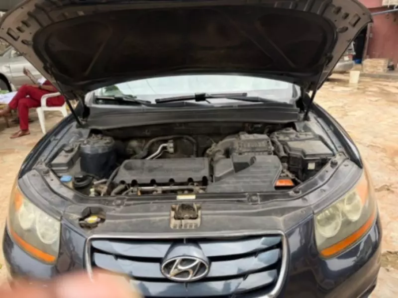 Hyundai Santa Fe - 2011
