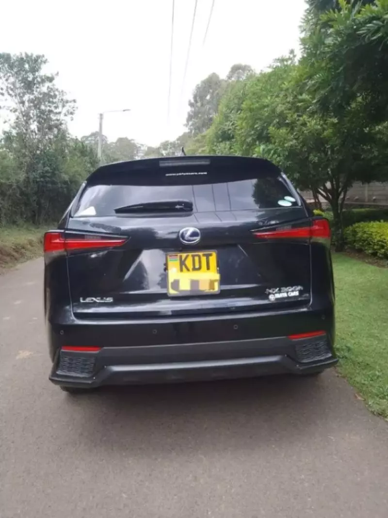 Lexus NX300h Hybrid   - 2018