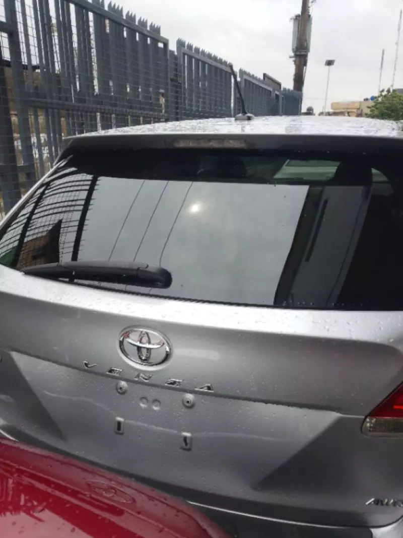 Toyota Venza - 2010