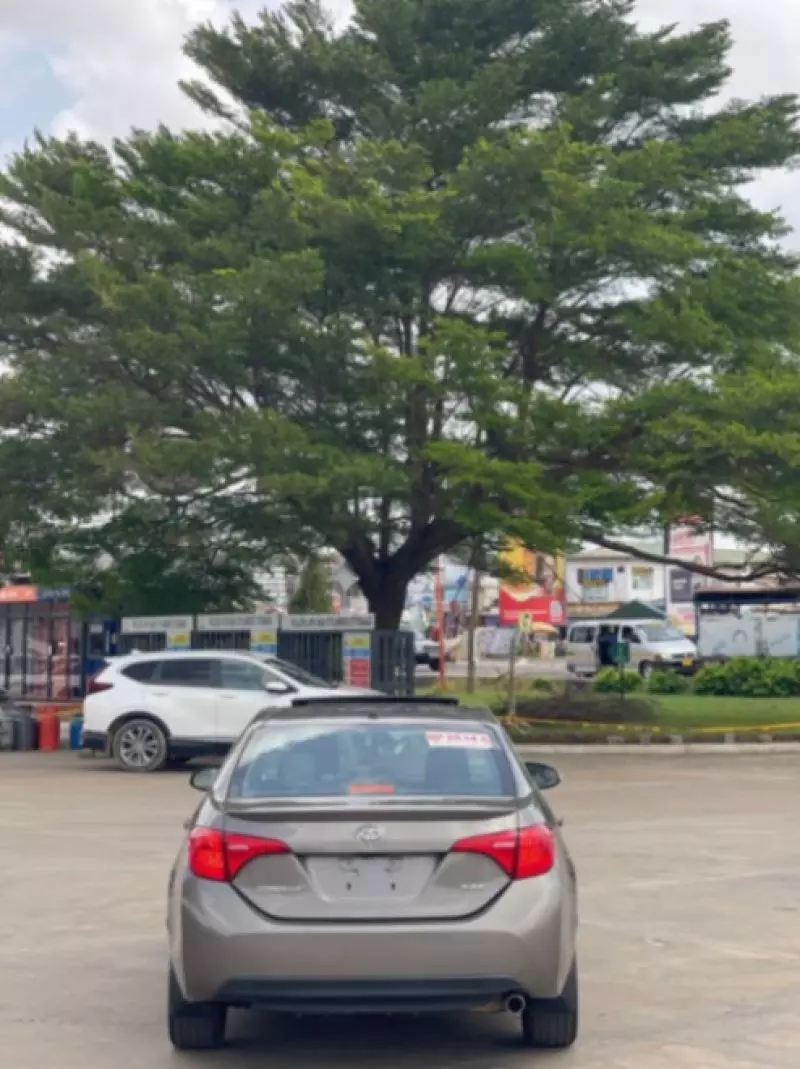 Toyota Corolla   - 2019