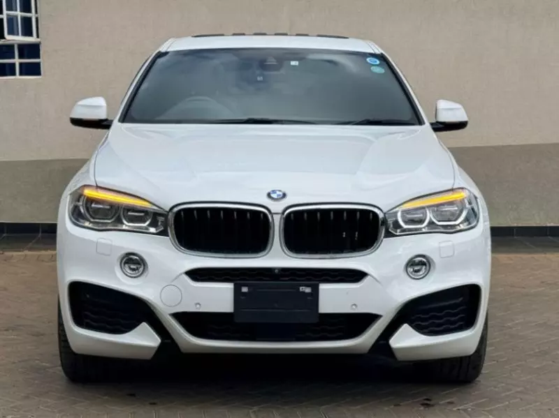 BMW X6   - 2018
