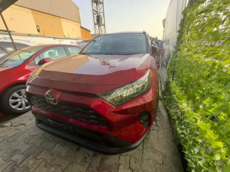 Toyota RAV4   - 2019