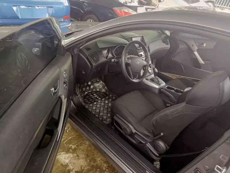 Hyundai Genesis   - 2010
