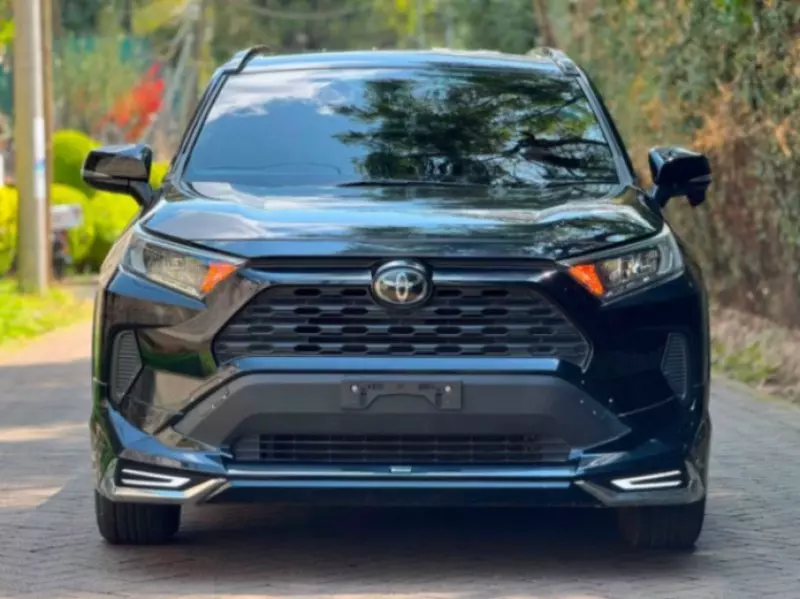 TOYOTA RAV4   - 2019