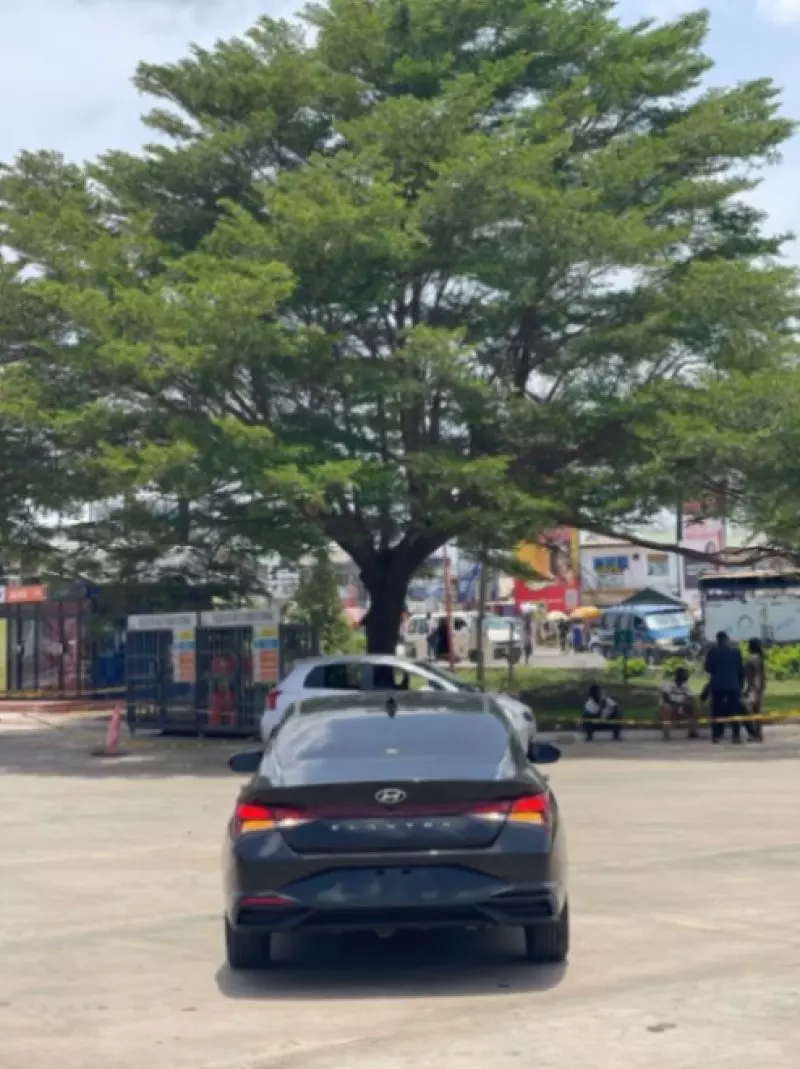 Hyundai Elantra   - 2021