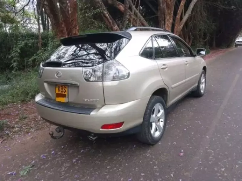 Lexus RX 300   - 2005