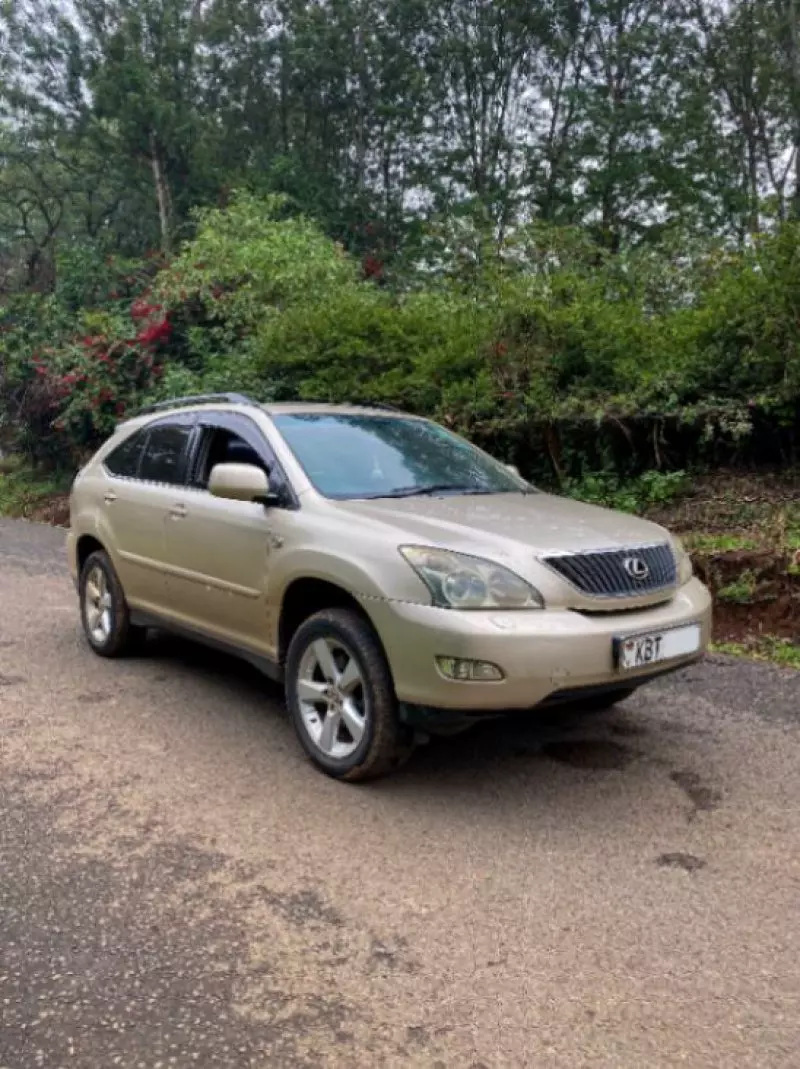 Lexus RX 300   - 2006