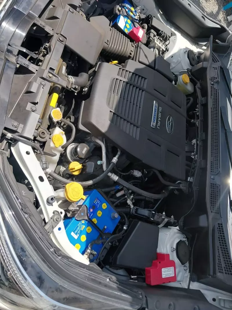 Subaru Forester   - 2019
