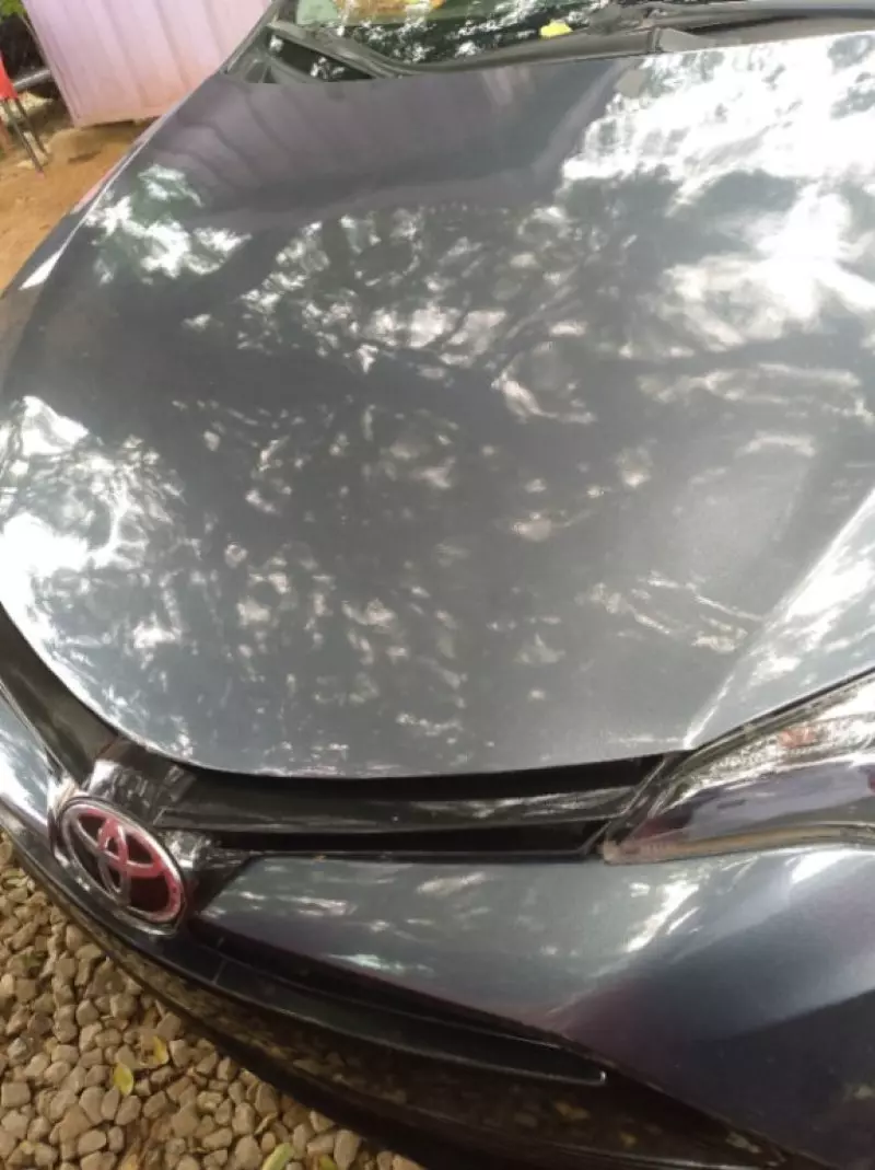 Toyota corolla   - 2017