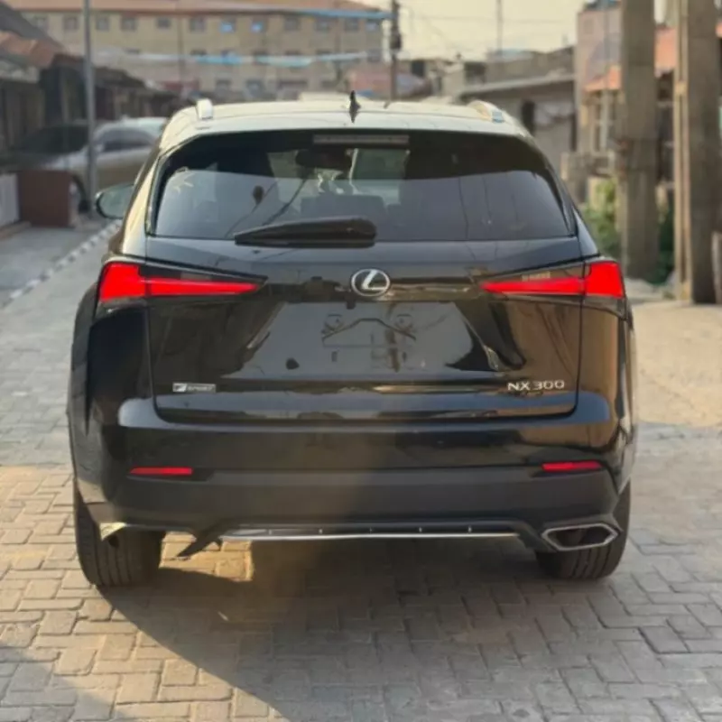 Lexus NX   - 2020