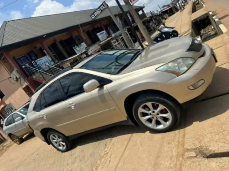 Lexus RX 300   - 2006