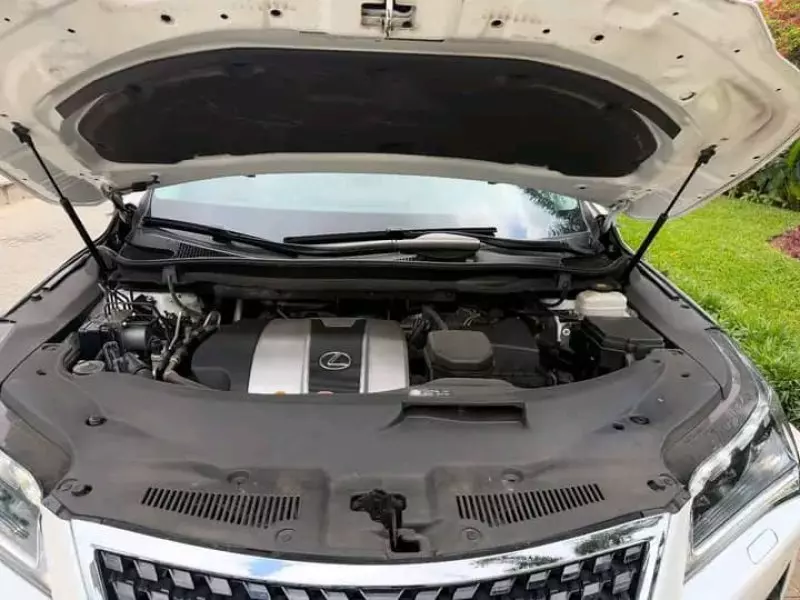 Lexus RX 350   - 2019