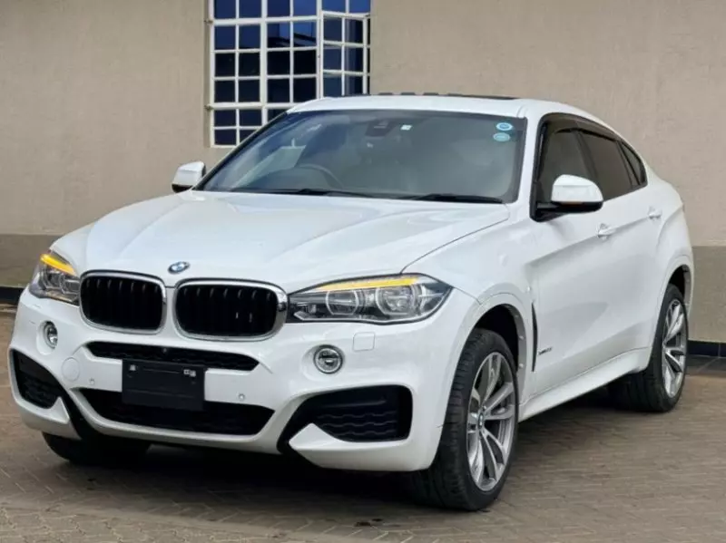 BMW X6   - 2018