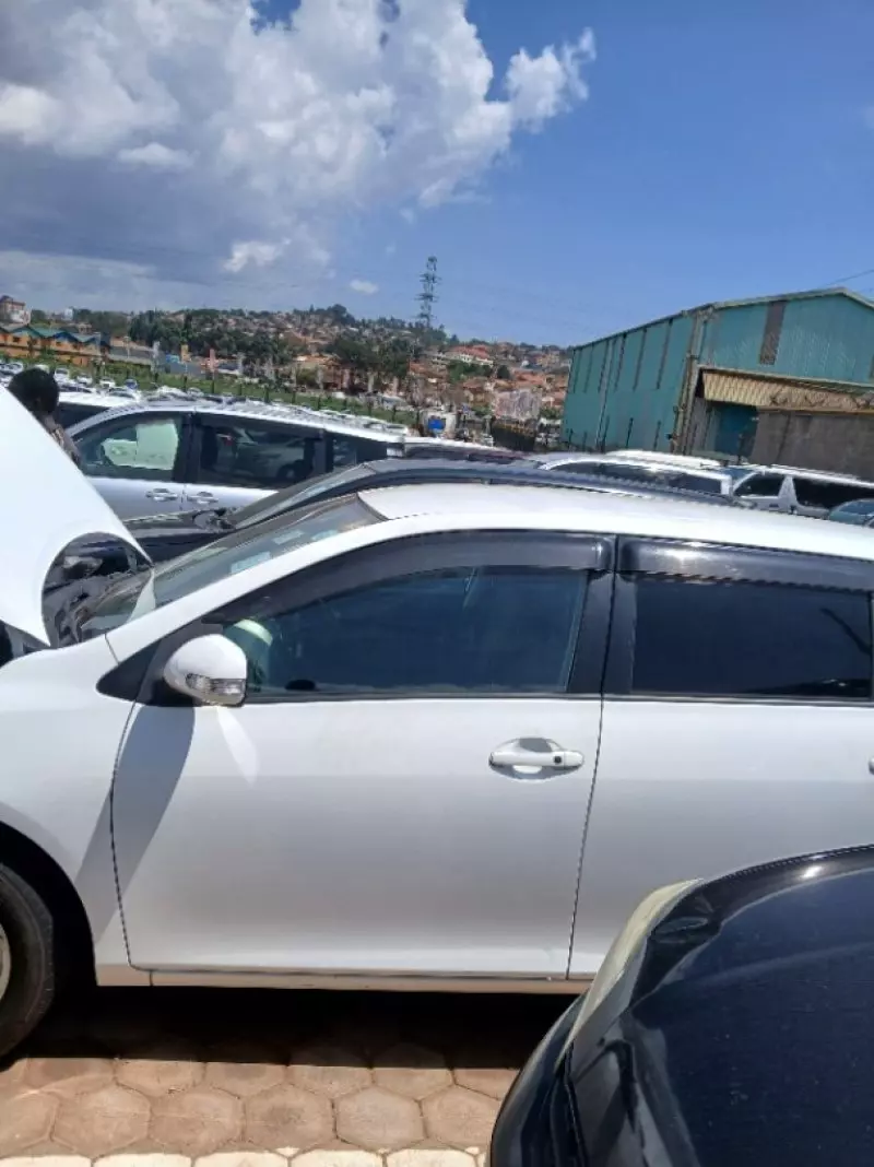 Toyota Fielder    - 2010