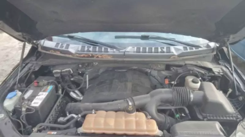 Ford F 150   - 2016