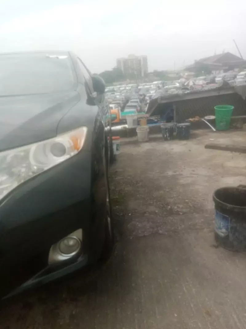 Toyota Venza - 2010