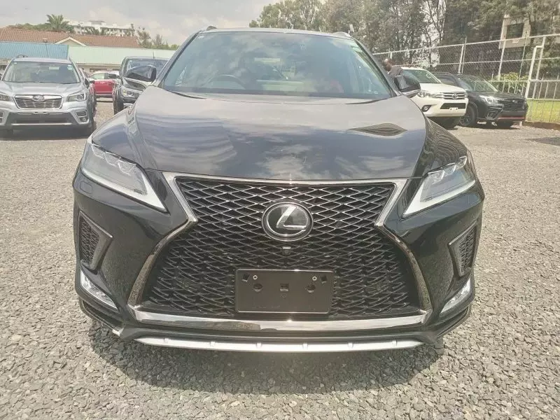 Lexus RX 300   - 2019