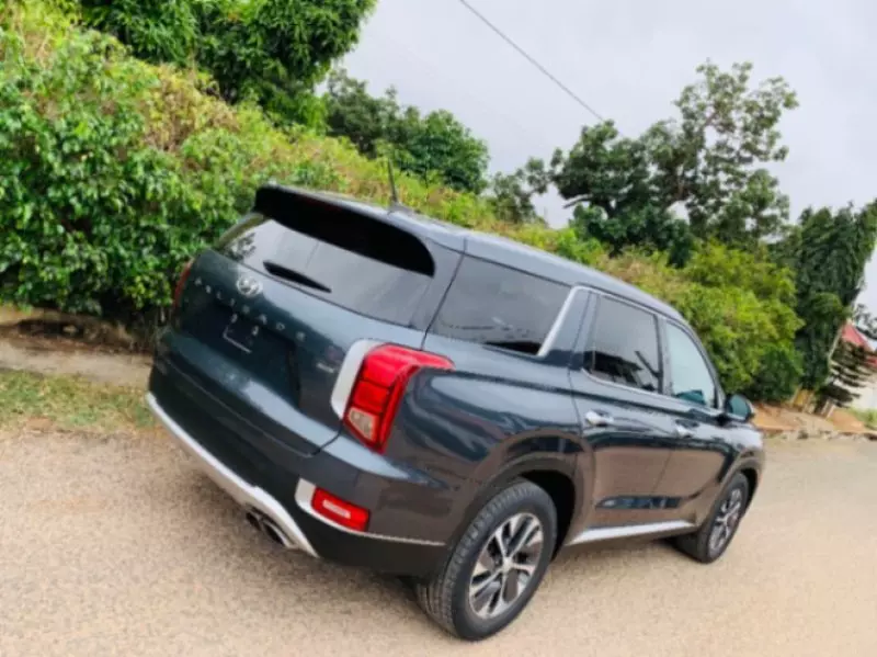 Hyundai Palisade   - 2020