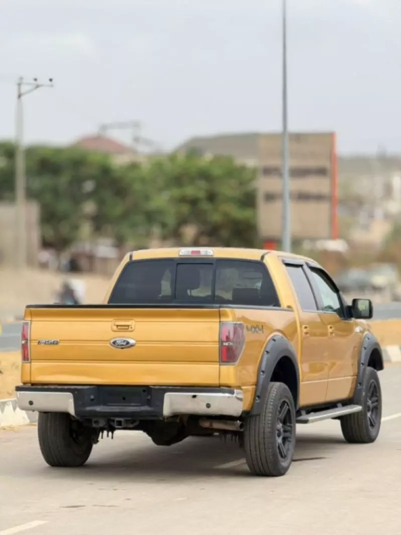 Ford F 150   - 2009