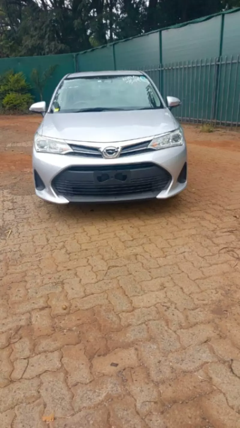 Toyota Fielder    - 2019