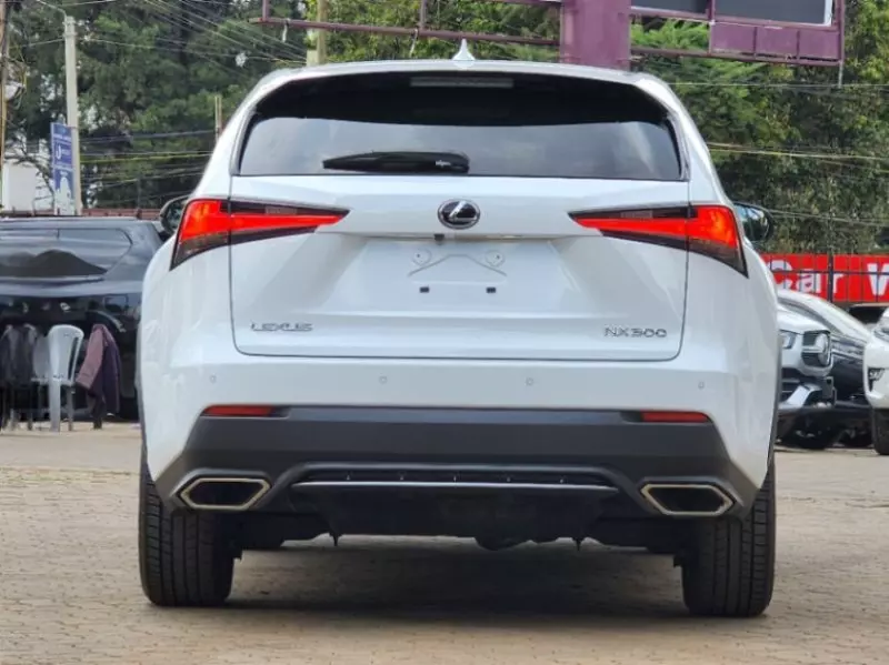 Lexus NX 300   - 2019