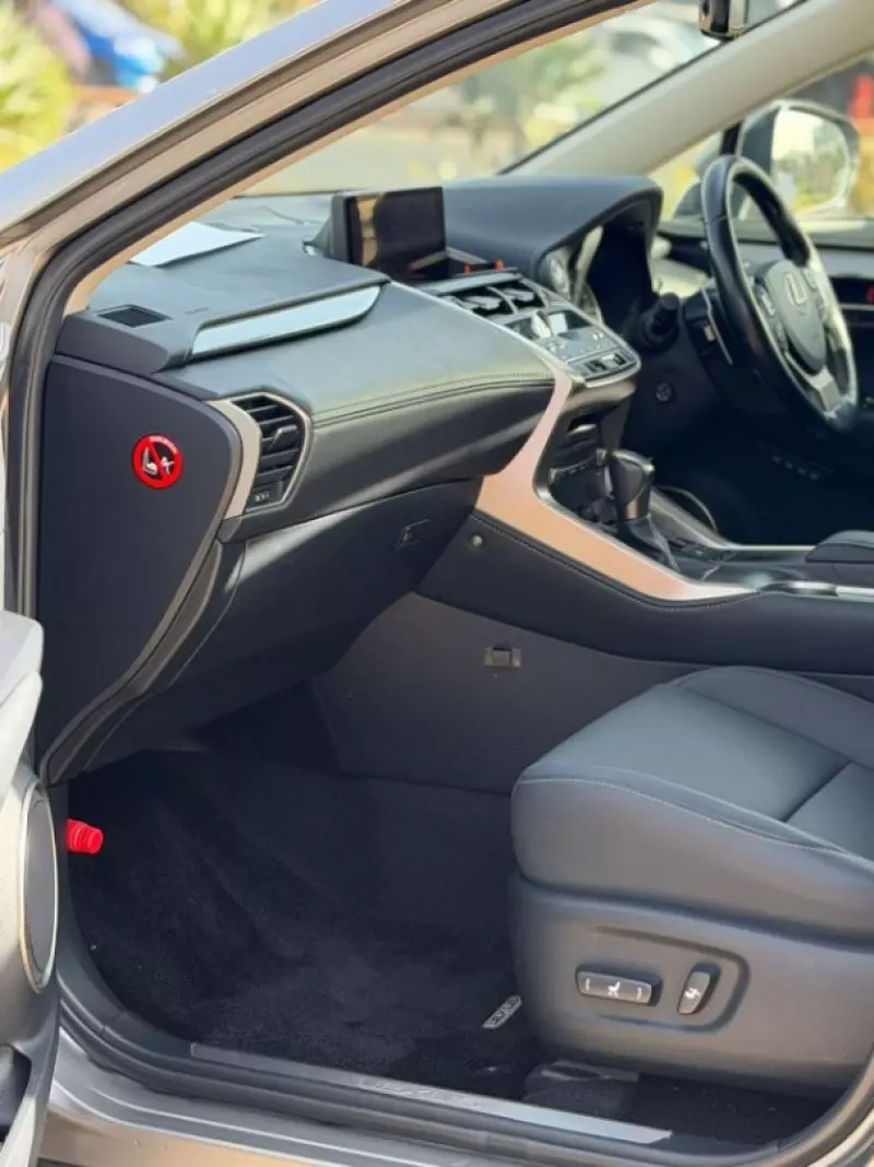 Lexus NX 300   - 2019