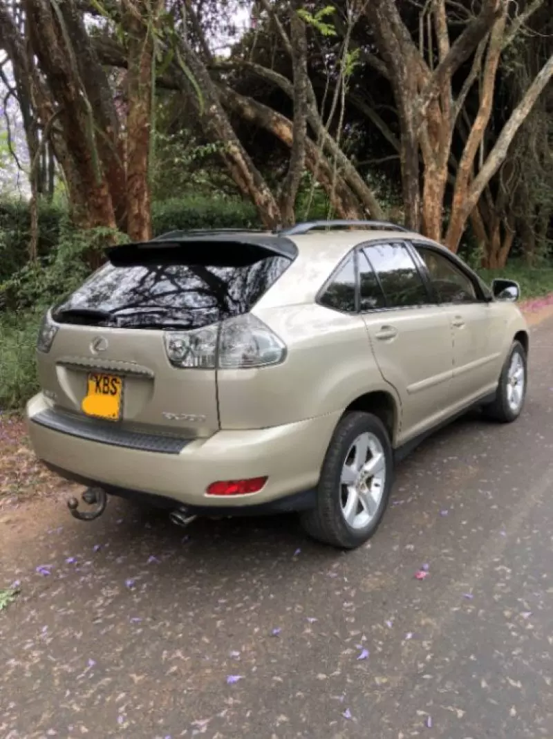 Lexus RX 300   - 2005