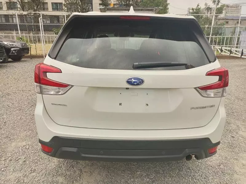 Subaru Forester   - 2019