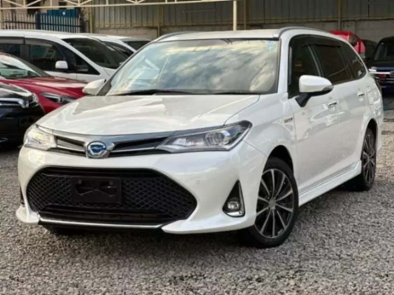 Toyota Fielder    - 2019