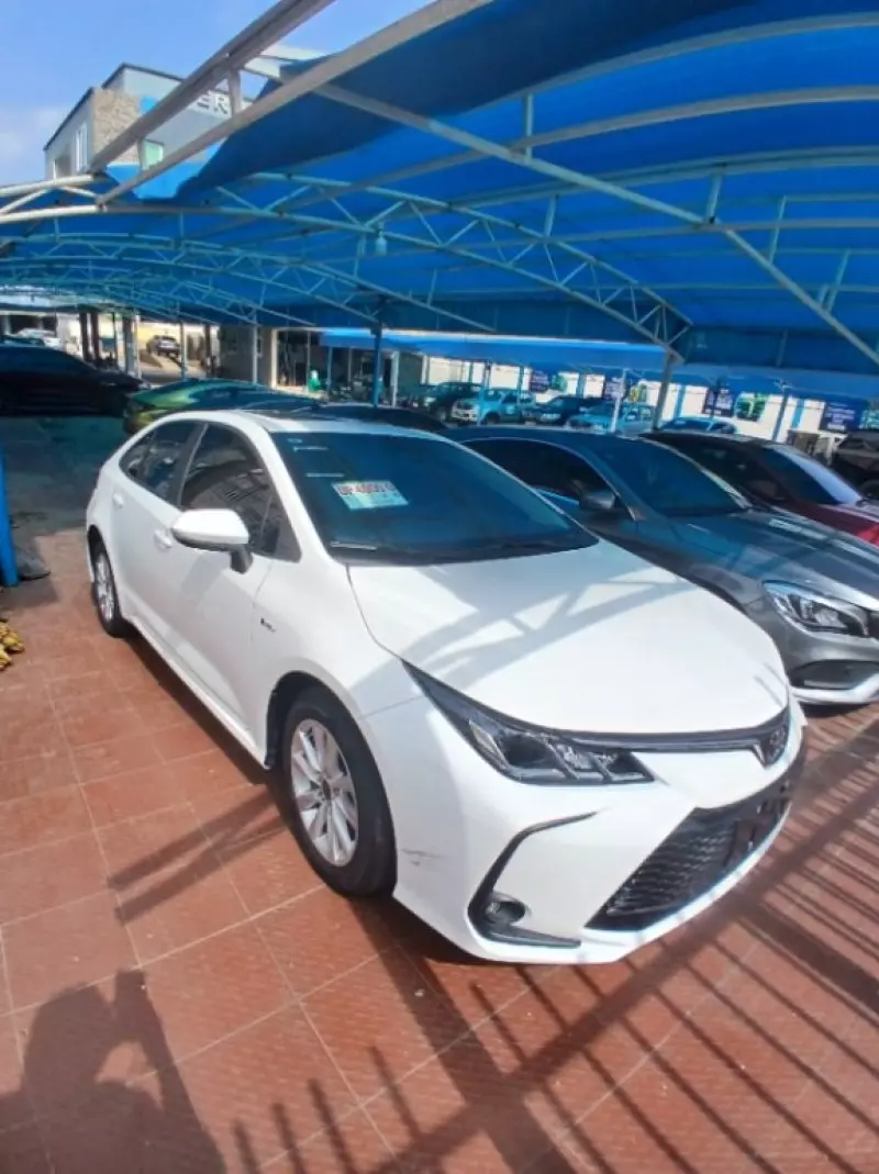 TOYOTA corolla   - 2025