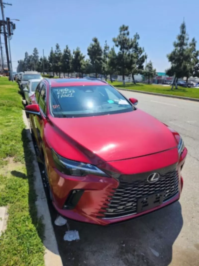 Lexus RX   - 2024