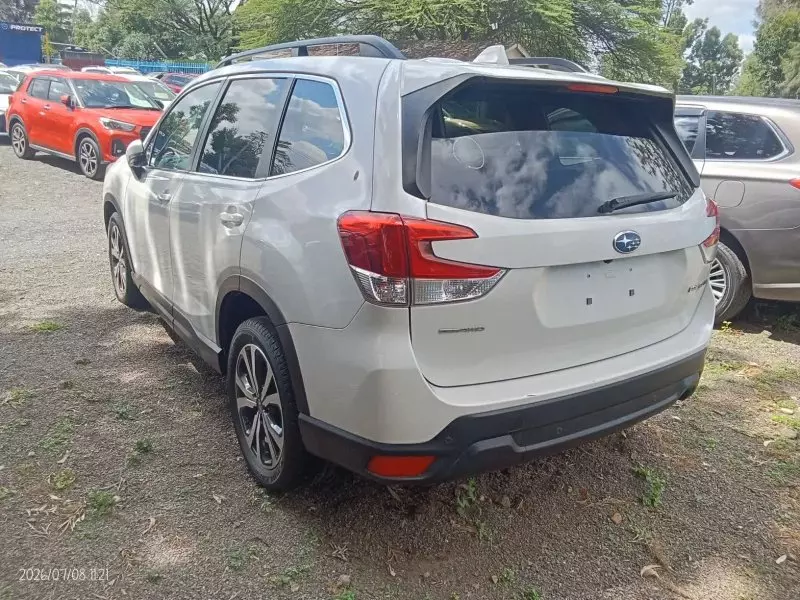 Subaru Forester   - 2019