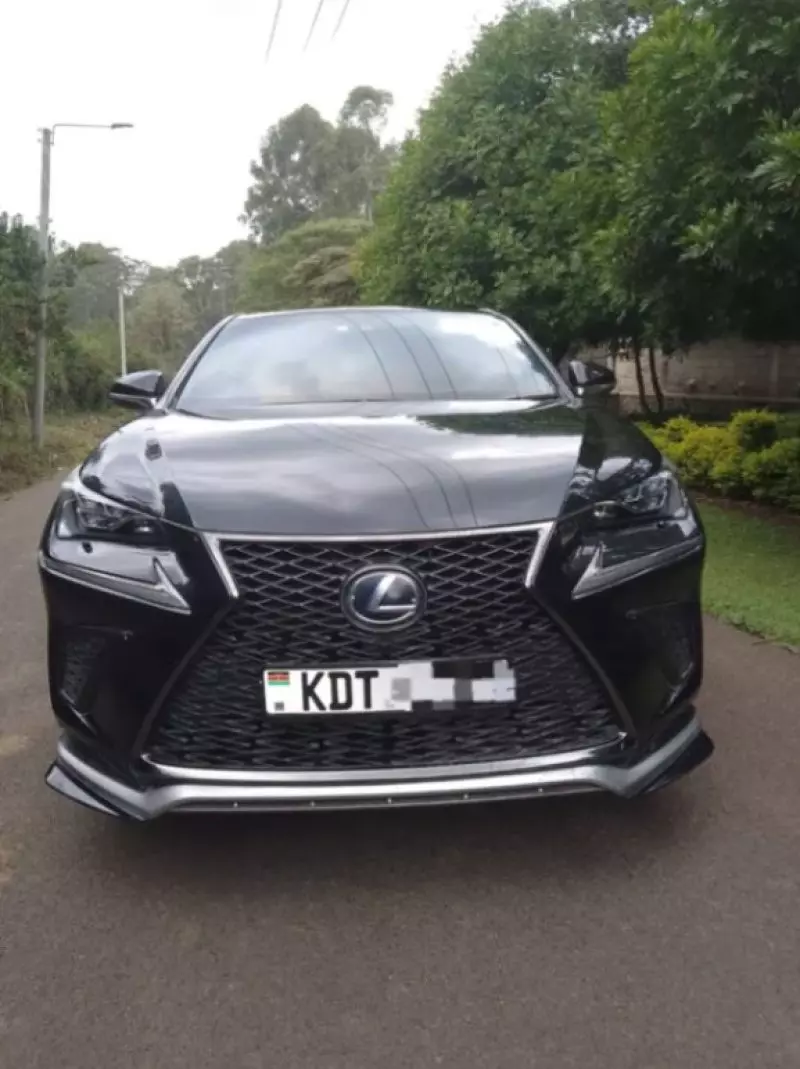 Lexus NX300h Hybrid   - 2018