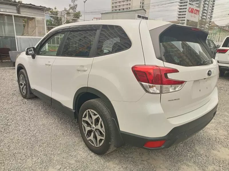 Subaru Forester   - 2019