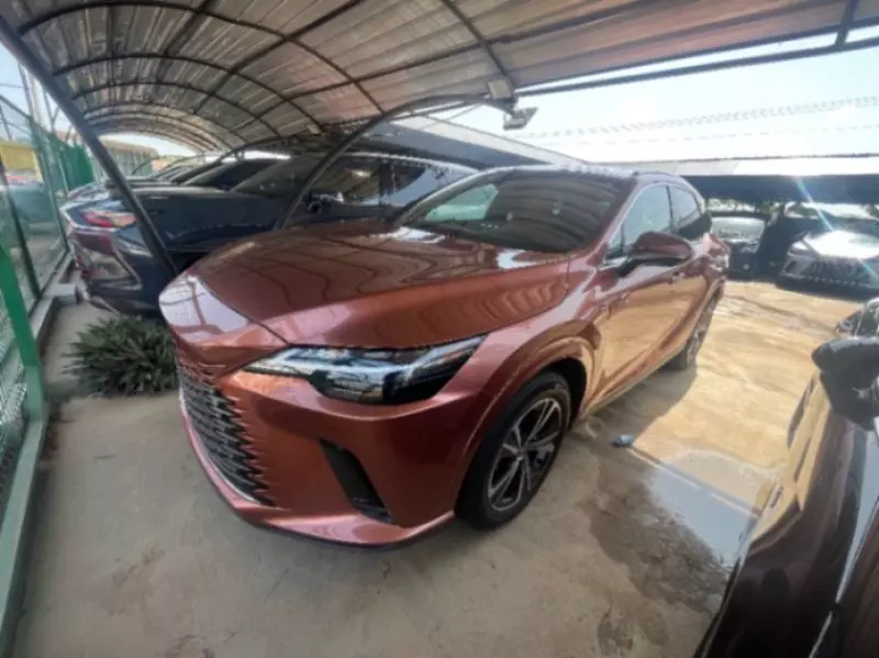 Lexus RX   - 2024