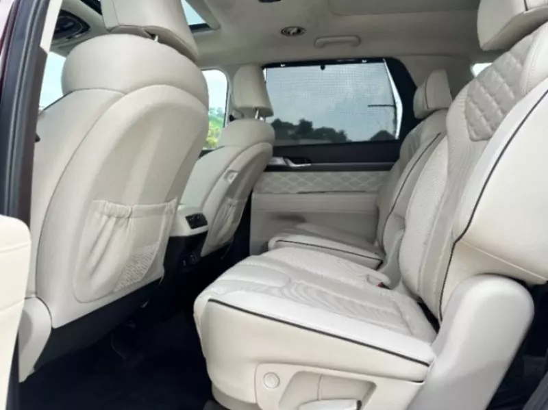Hyundai Palisade   - 2020