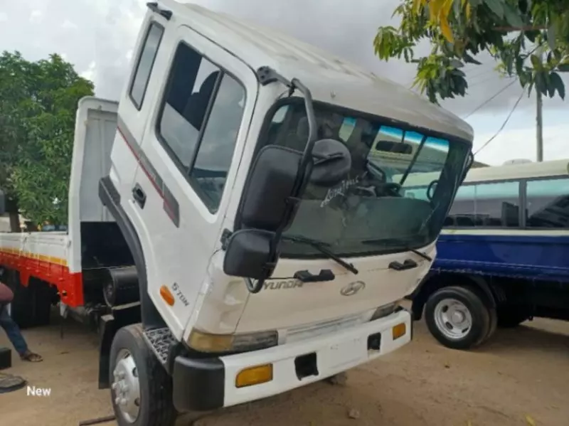 Hyundai Rhino   - 2004
