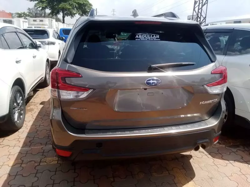 Subaru Forester   - 2019