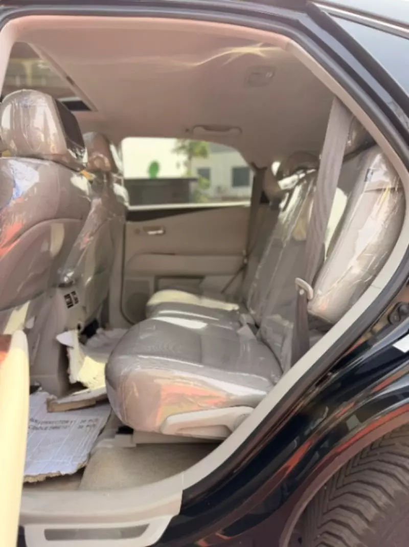 Lexus RX   - 2010