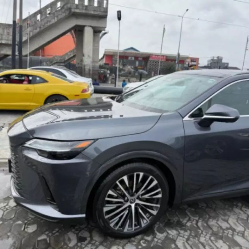 Lexus RX 450h   - 2024