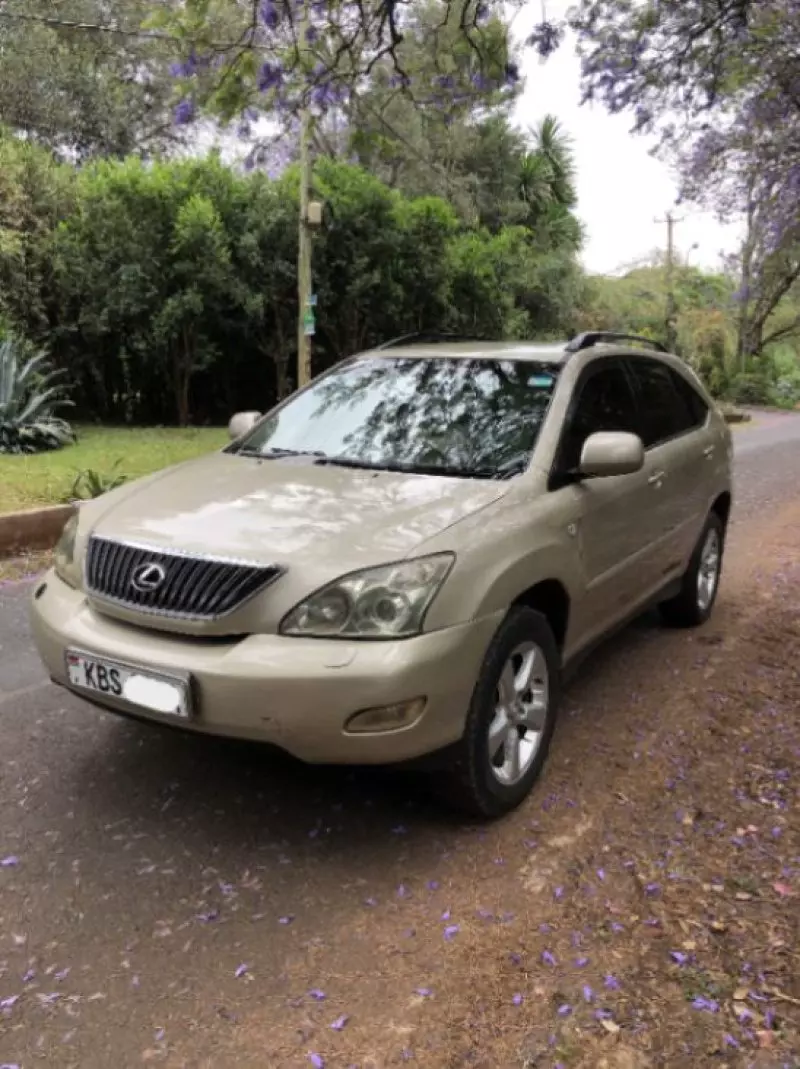 Lexus RX 300   - 2005