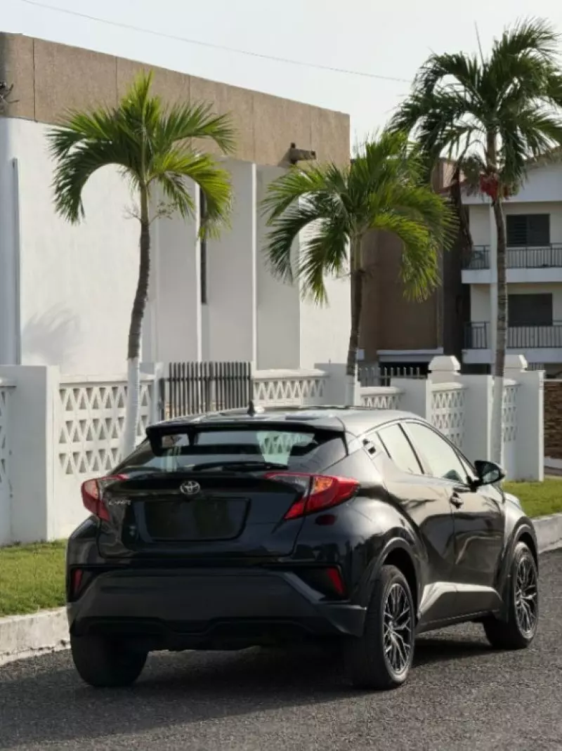 TOYOTA CH-R   - 2019