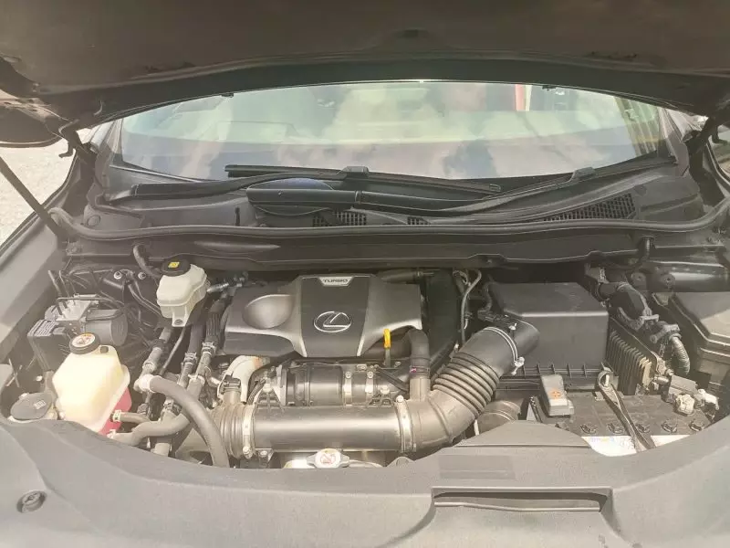 Lexus RX 300   - 2019