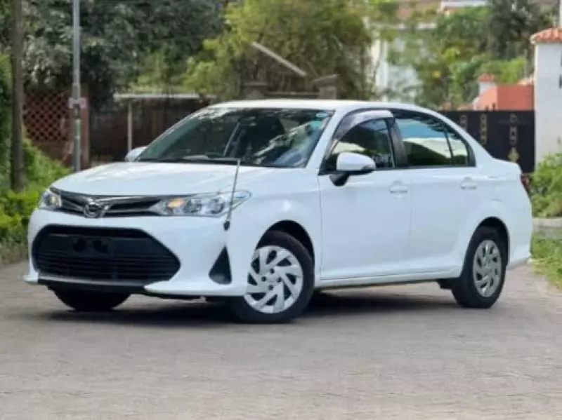 Toyota Axio    - 2019