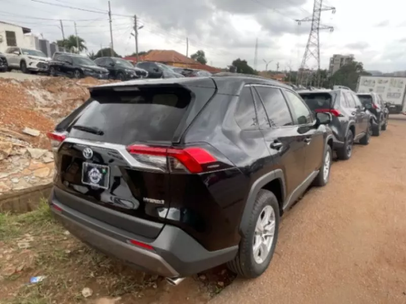 TOYOTA RAV4   - 2024
